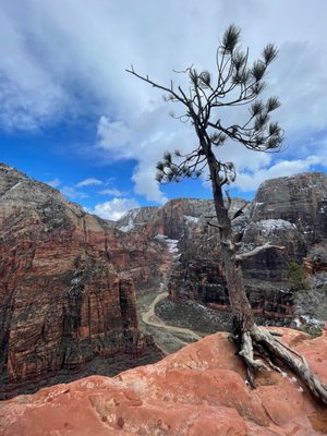 Angels Landing by null