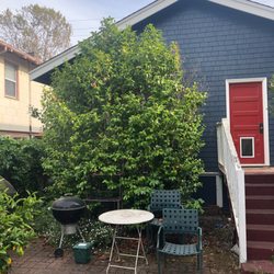Haul U Need Yard Services - Before