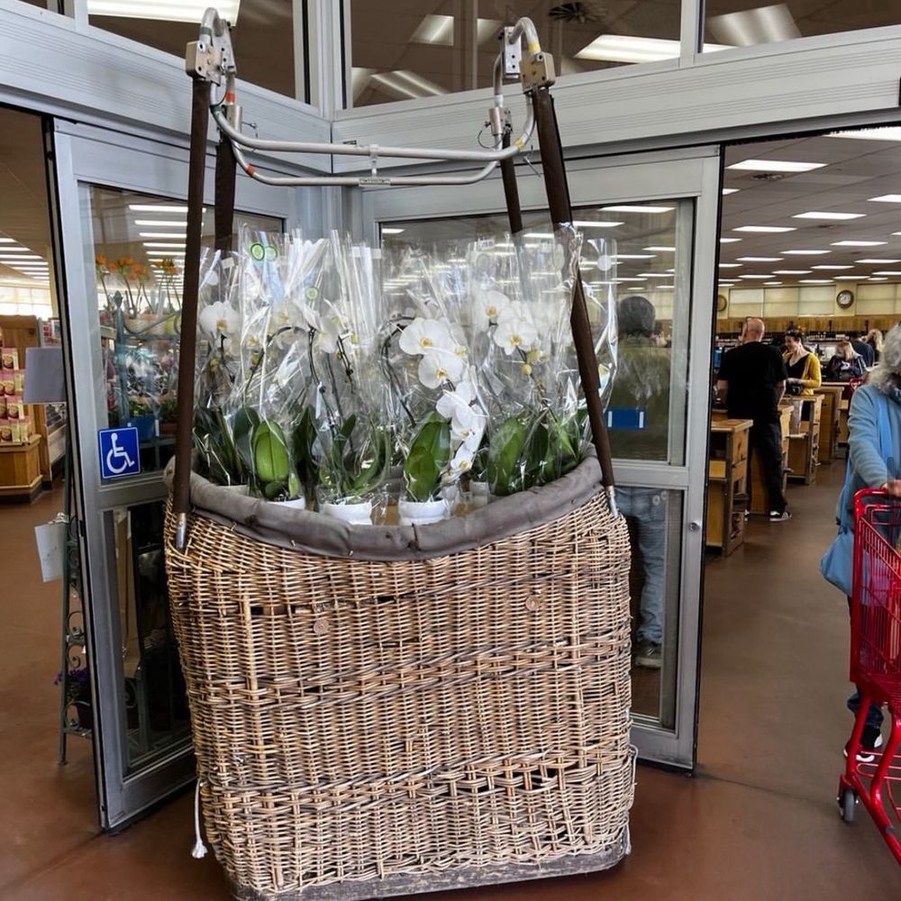 Trader Joe's - The hot air balloon basket at the entrance to the store, so on brand with Albuquerque - Grocery Near Me - Albuquerque, New Mexico Trader Joe's - The hot air balloon basket at the entrance to the store, so on brand with Albuquerque - Grocery Near Me - Albuquerque, New Mexico