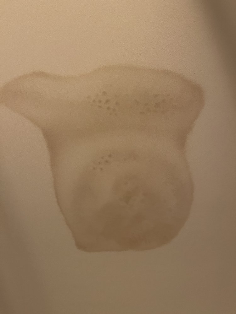 Slide of Big G Roofing & More