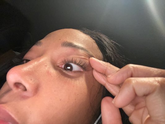 MissCat Eyelash by null