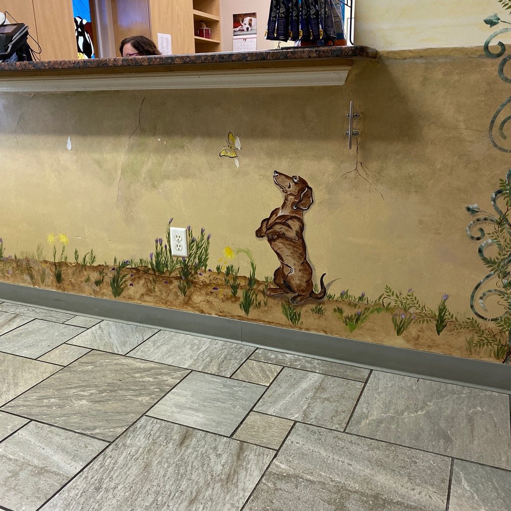 4 Paws Pet Clinic - Check in area - Veterinarians Near Me - Yulee, Florida 4 Paws Pet Clinic - Check in area - Veterinarians Near Me - Yulee, Florida
