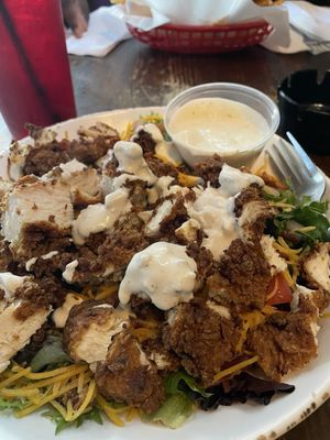 Hair of the Dog Pub by null