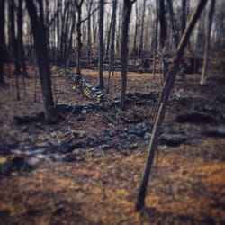 Ralph Stover State Park