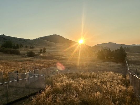 Howlers Inn B&B and Wolf Sanctuary, Bozeman MT Bed and Breakfast Lodging by null