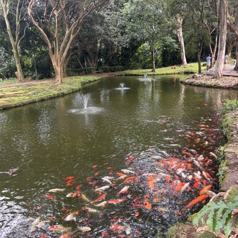 Byodo-In Temple - Buddhist Temples Near Me - Kaneohe, Hawaii