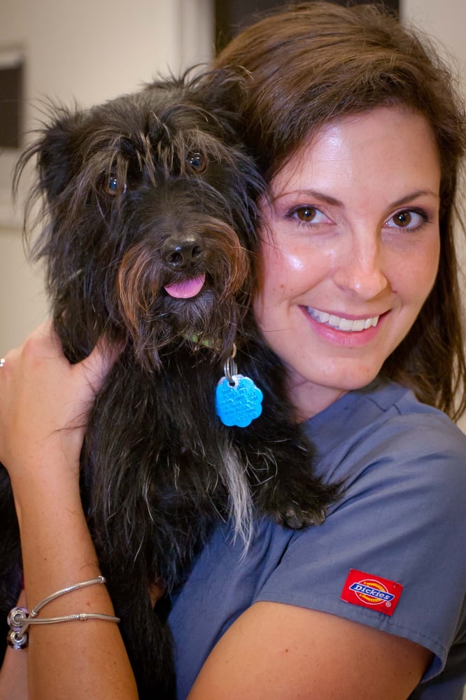 Planet Pet Animal Hospital Image