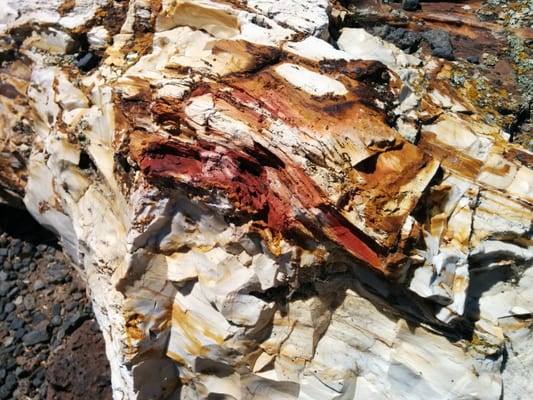 Wanapum Recreation Area by null