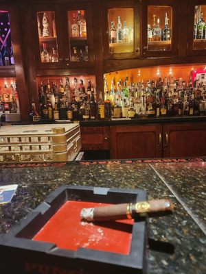 Shelly's Back Room by null