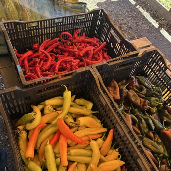 Sunset Farm - Peppers - Farmers Market Near Me - Milford, Connecticut Sunset Farm - Peppers - Farmers Market Near Me - Milford, Connecticut