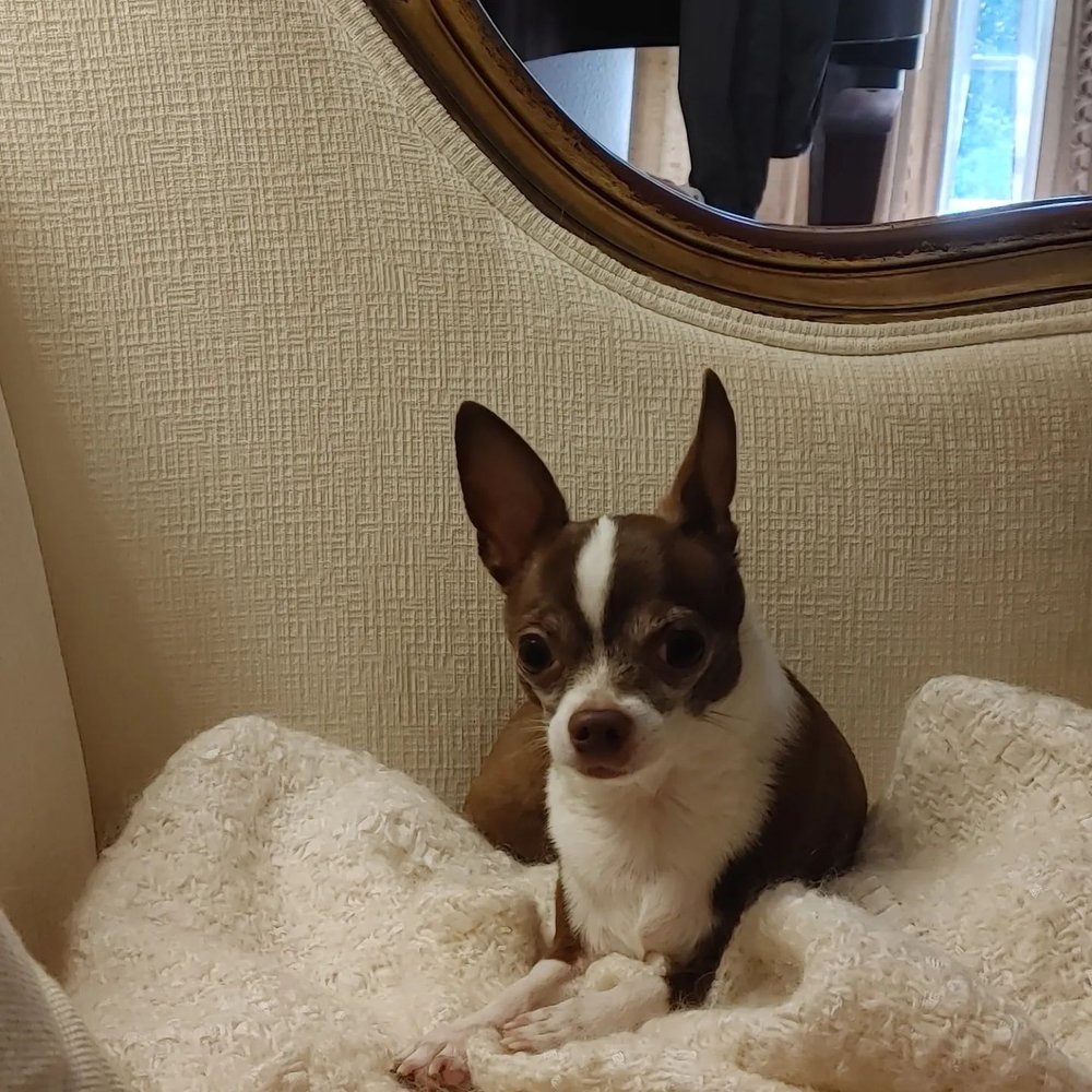 DREAM KATCHER LODGE Updated October 2024 59 Photos & 13 Reviews