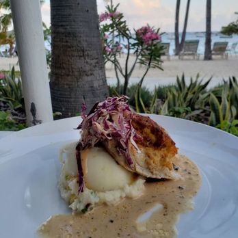 Caribbean Fish Market - Crab crusted grouper - Seafood Near Me - St. Thomas, Virgin Islands Caribbean Fish Market - Crab crusted grouper - Seafood Near Me - St. Thomas, Virgin Islands
