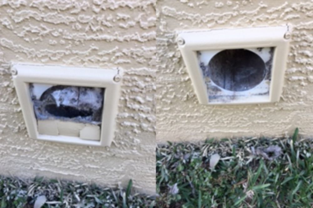 DIVINE CARE CARPET CLEANING Updated October 2024 33 Photos & 13 Reviews 2172 Platinum Rd