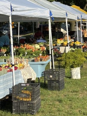 South Shore Farmers’ Market by null