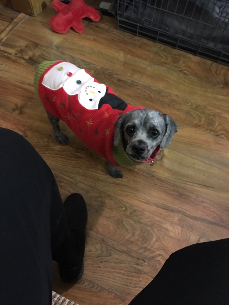 MCLEANS AUTO & TRUCK SERVICE Updated October 2024 31955 Old Kc Rd