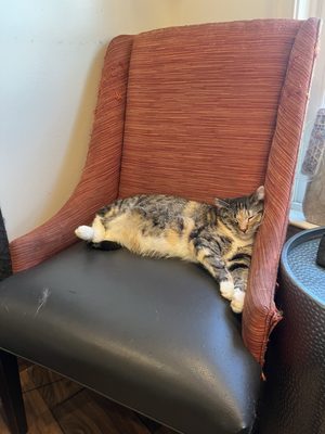 Catty Corner Cafe by null