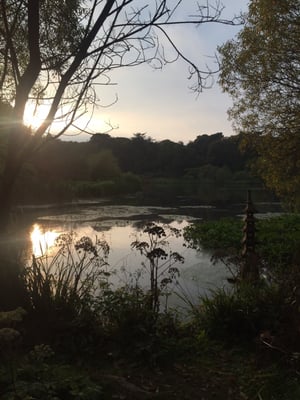 National Trust - Mount Stewart by null
