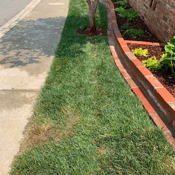 CRC Landscaping - newly installed - 8 days old - you can see where the joints re. Those sections are turning brown despite 15 mins watering everyday. - Landscaping Near Me