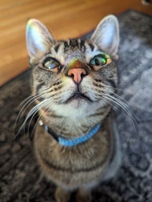 Ember Hostel by null