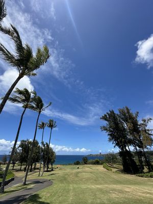 Kapalua Golf - The Plantation Course by null