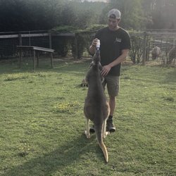 Creature Features - Kangaroo that we all got to bottle feed