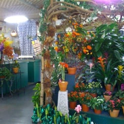 The Secret Garden