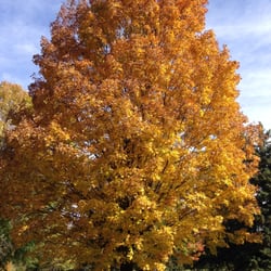 New Richmond Golf Club - Great place to play in the fall