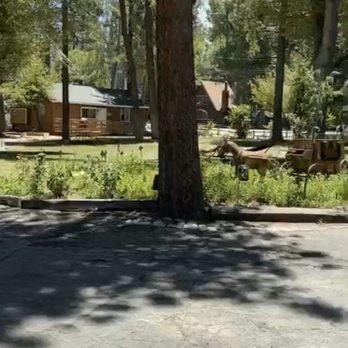 Grey Squirrel Resort & Vacation Rental Homes - Outside the cabin - Big Bear Lake, CA
