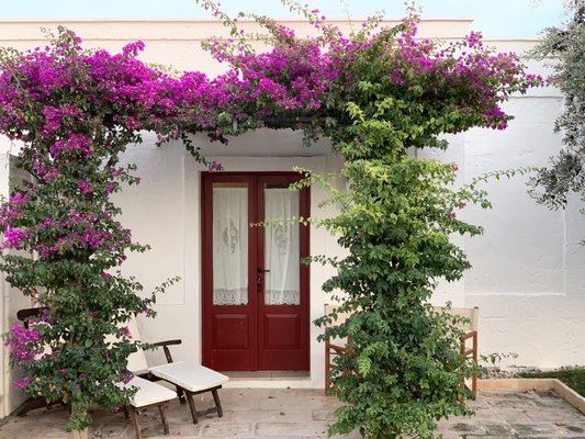 Masseria TORRE COCCARO by null