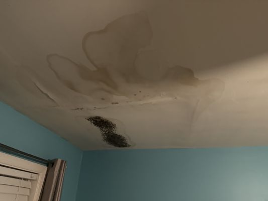 Dry Wall Repair In Bel Air 2024 - This dry wall repair was completed in response to a leak, The damaged dry wall was removed, the leaks as located and addressed the new dry wall was then installed and finished.