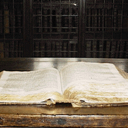 Guildhall Museum - The ghosts bible