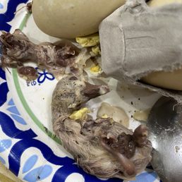 Duck balut. The guy scam me. I told him I want young and small ones. He gave me the big one. Look scary. It wasting my money.