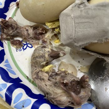 Balut Pateros - Duck balut. The guy scam me. I told him I want young and small ones. He gave me the big one. Look scary. It wasting my money. - Specialty Food Near Me - Westminster, California