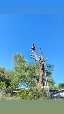 Bayseas Catfish House by null