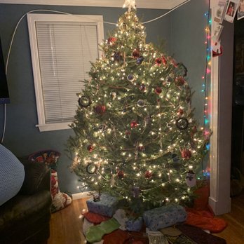 Mckay S Christmas Trees 12 Reviews Christmas Trees 360 N Beacon St Brighton Ma Yelp