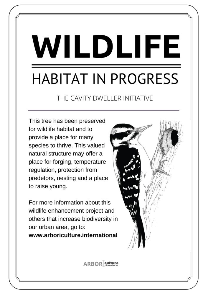 Arboriculture International - tree service in Milwaukie, OR