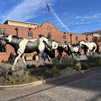 The Stockyards - Local Flavor Near Me - Fort Worth, Texas The Stockyards - Local Flavor Near Me - Fort Worth, Texas
