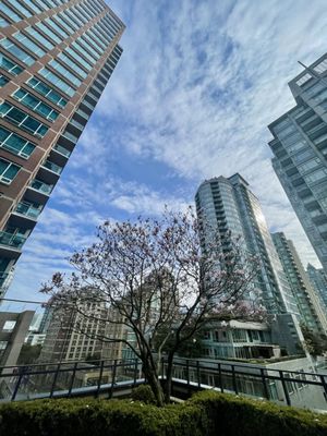 L'Hermitage Vancouver by null