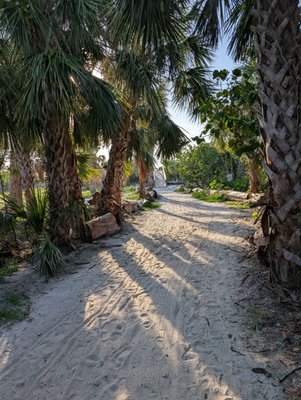 Bean Point Beach by null