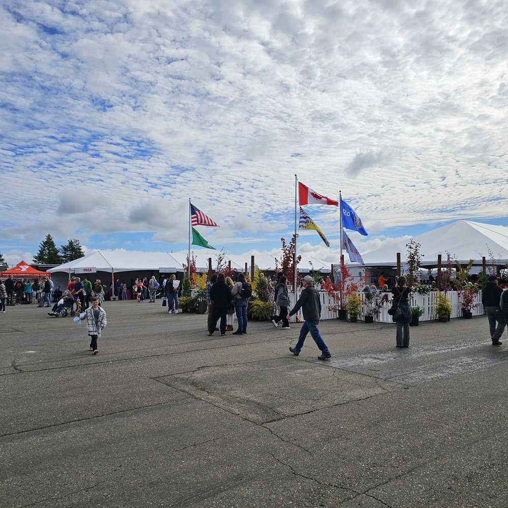 Oyster Festival Seattle, WA - Last Updated August 2025 - Yelp