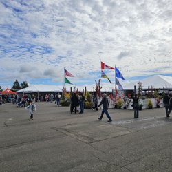Oyster Festival