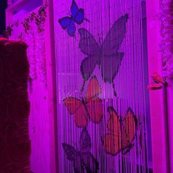 Pink Butterfly Bush - The decor was very well thought out. So feminine