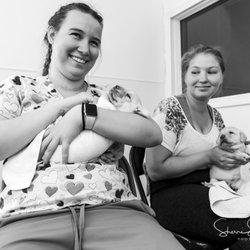 Bergin College of Canine Studies - Training starts early.