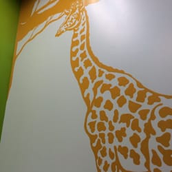 Kids Plus Pediatrics