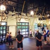 Iron Tribe Fitness - Madison gift card