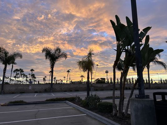 Broken Yolk Cafe by null