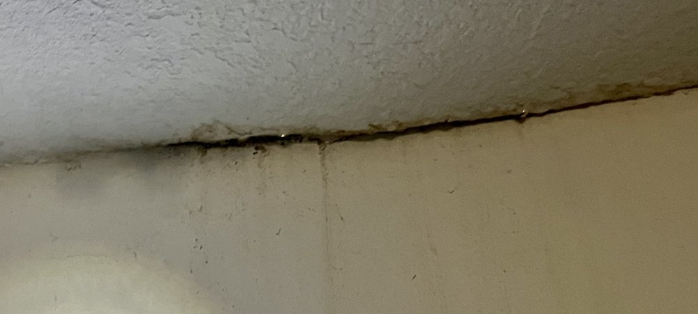 Slide of El Mago Roofing