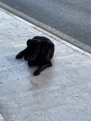 Yalıkavak Marina by null