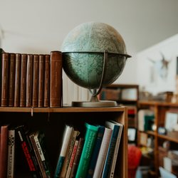 Bison Books