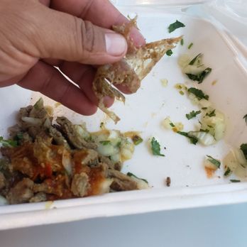 Armando's Mexican Food - Plastic found in carne asada tacos - Mexican Near Me - Phoenix, Arizona Armando's Mexican Food - Plastic found in carne asada tacos - Mexican Near Me - Phoenix, Arizona
